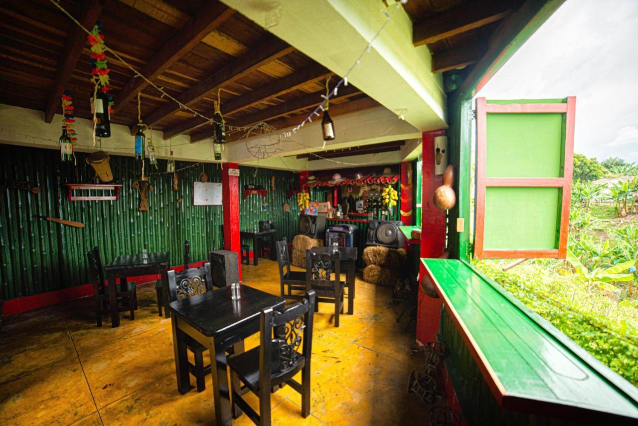 Eco Palmas 2*