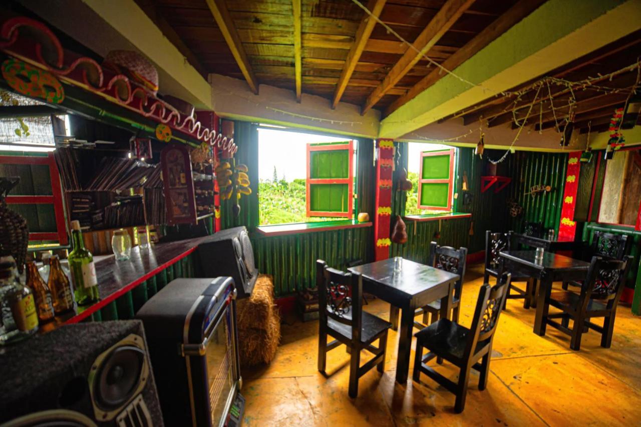 Eco Palmas Hotel