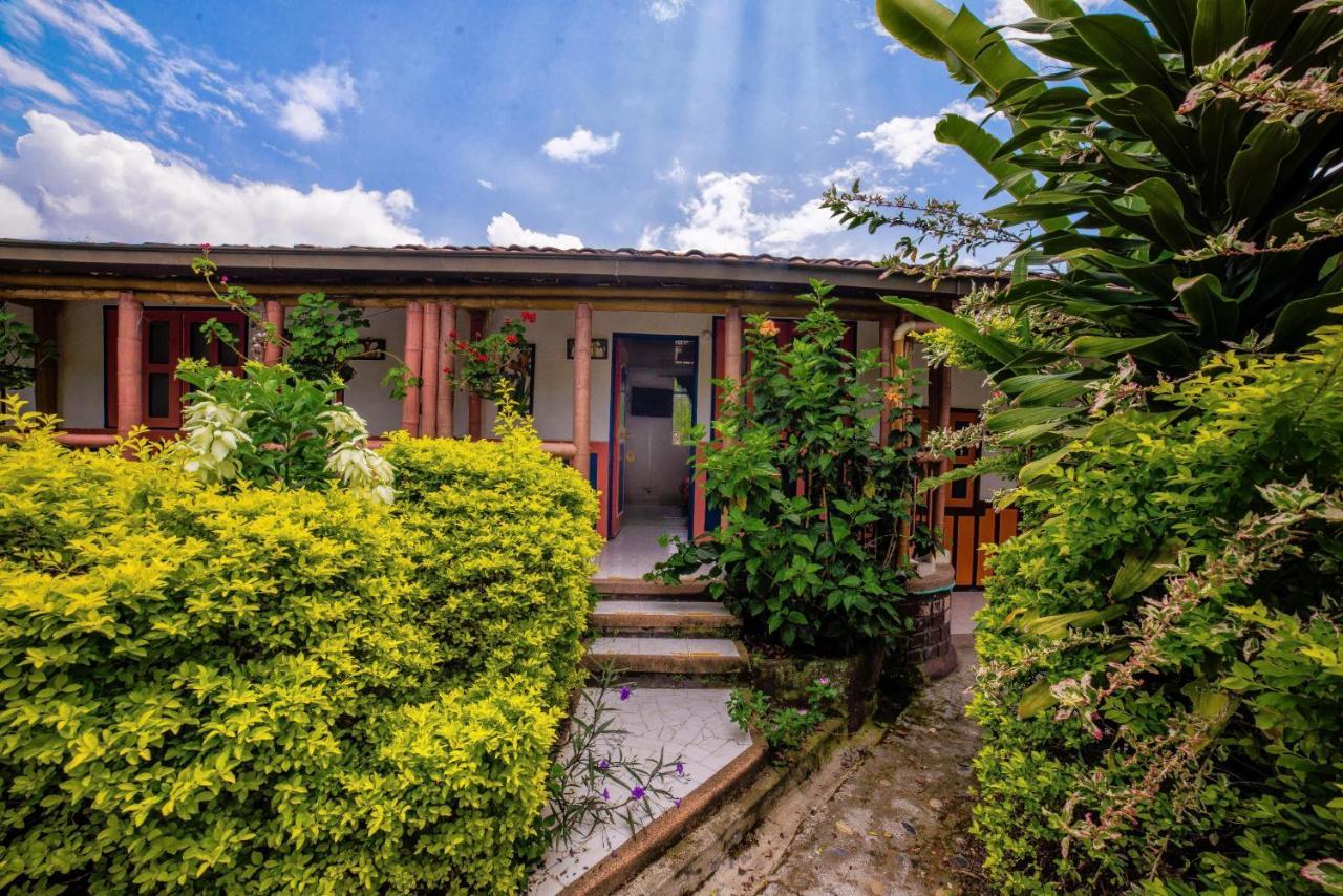 Eco Palmas Hotel