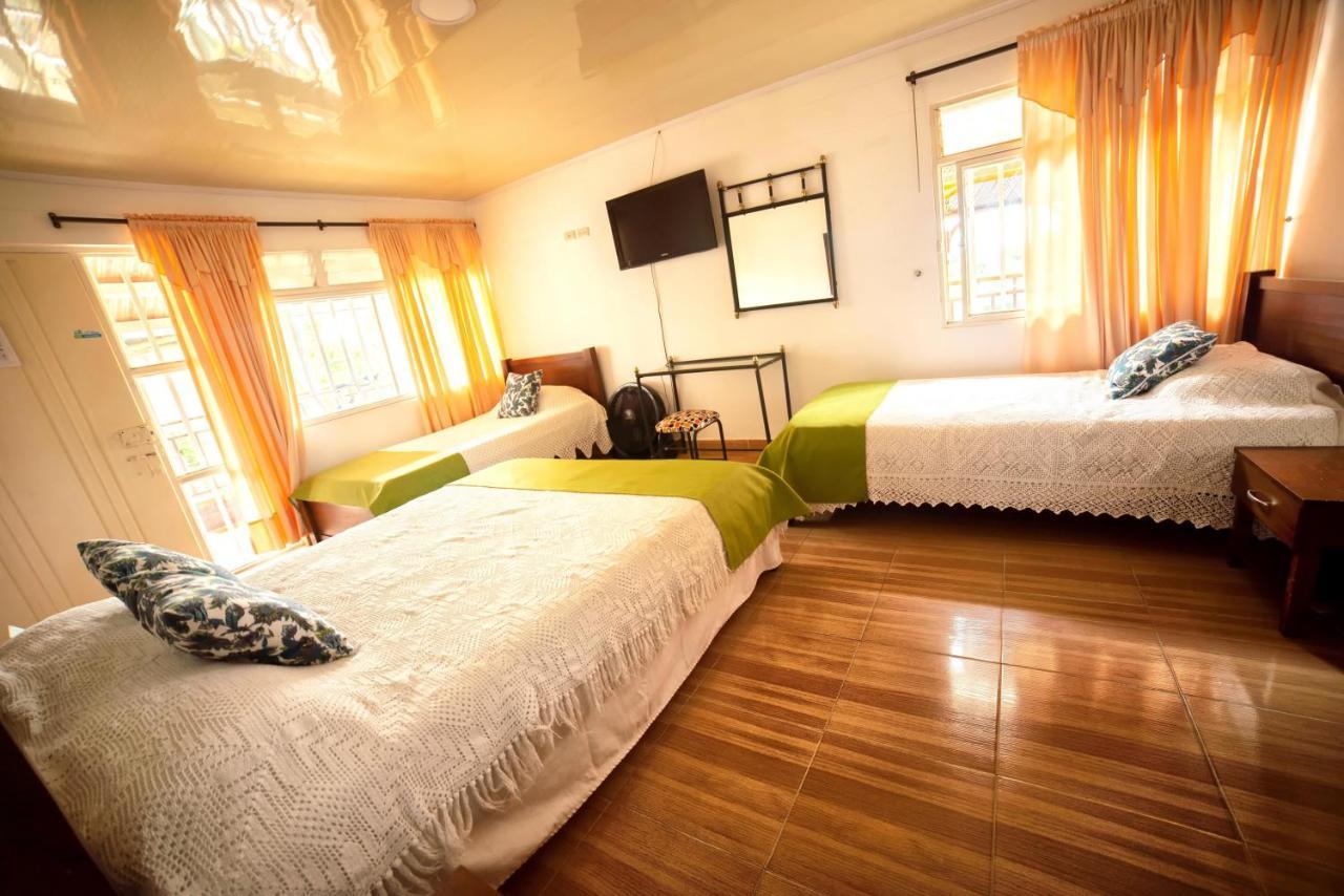 Eco Palmas Armenia (Quindio)