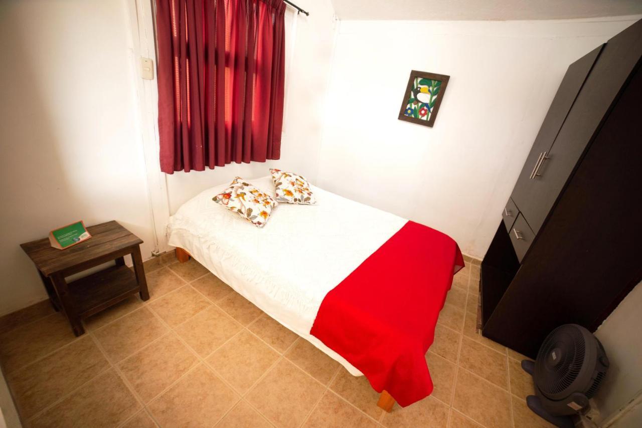 Eco Palmas 2*