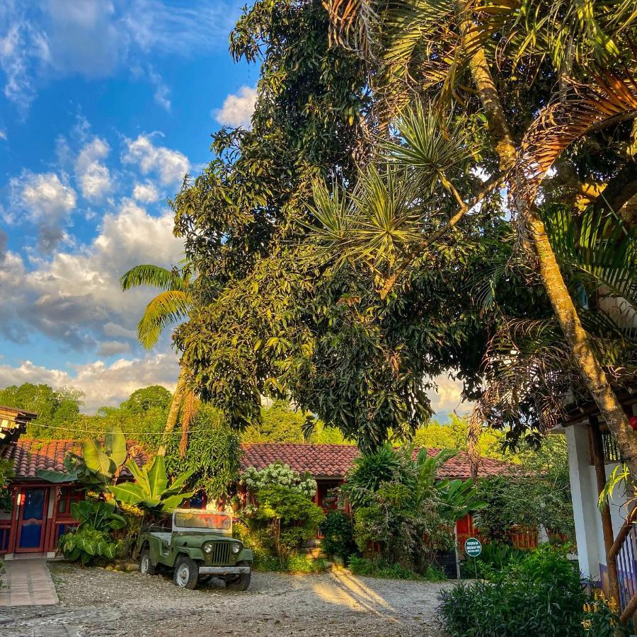Eco Palmas Hotel