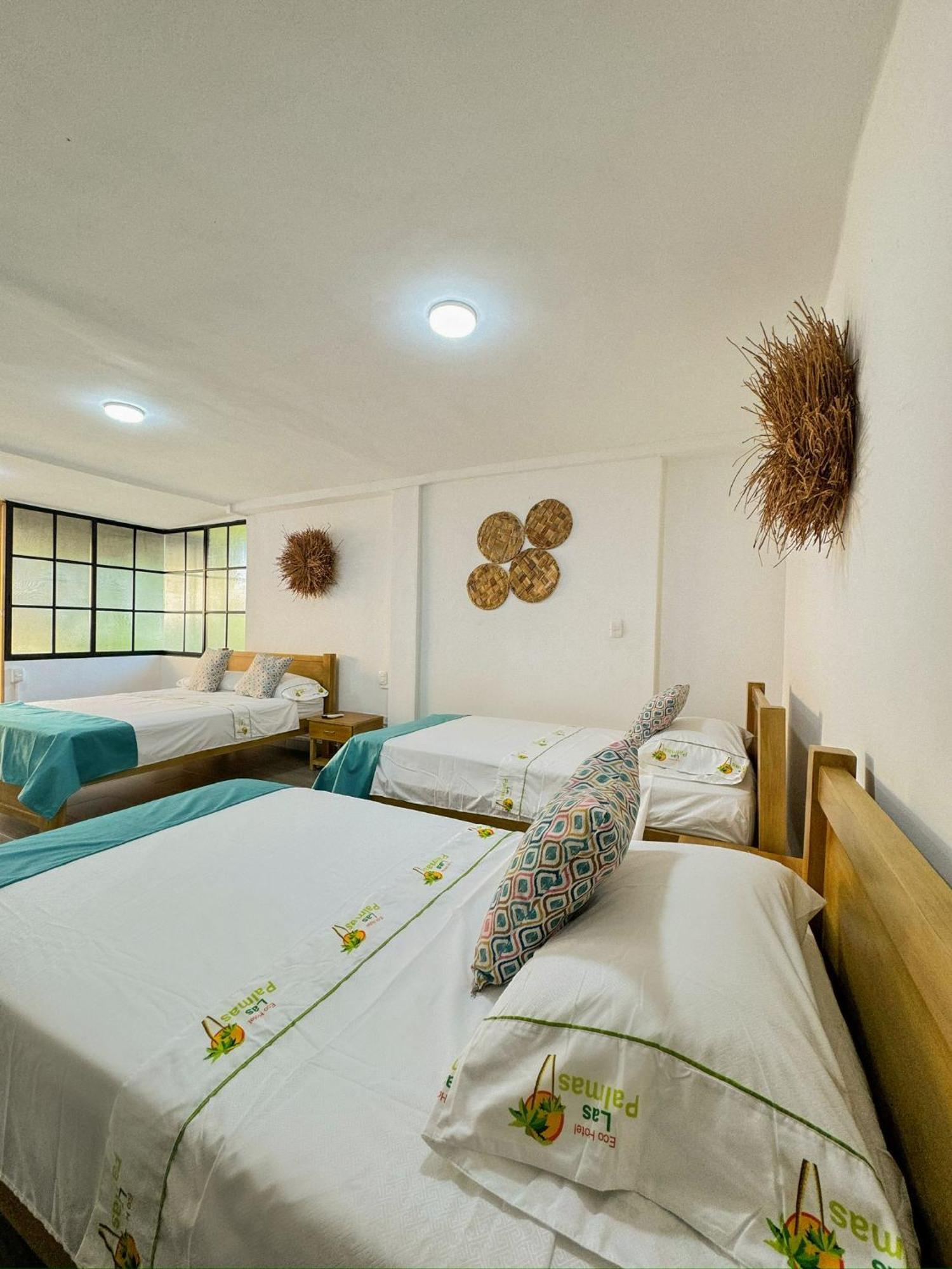 Eco Palmas Armenia (Quindio)
