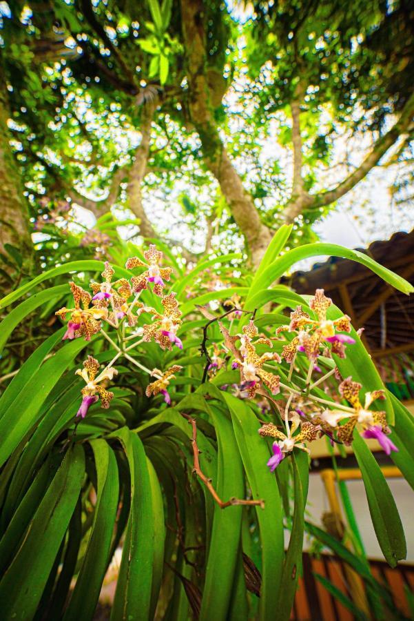 Eco Palmas 酒店 Armenia (Quindio)