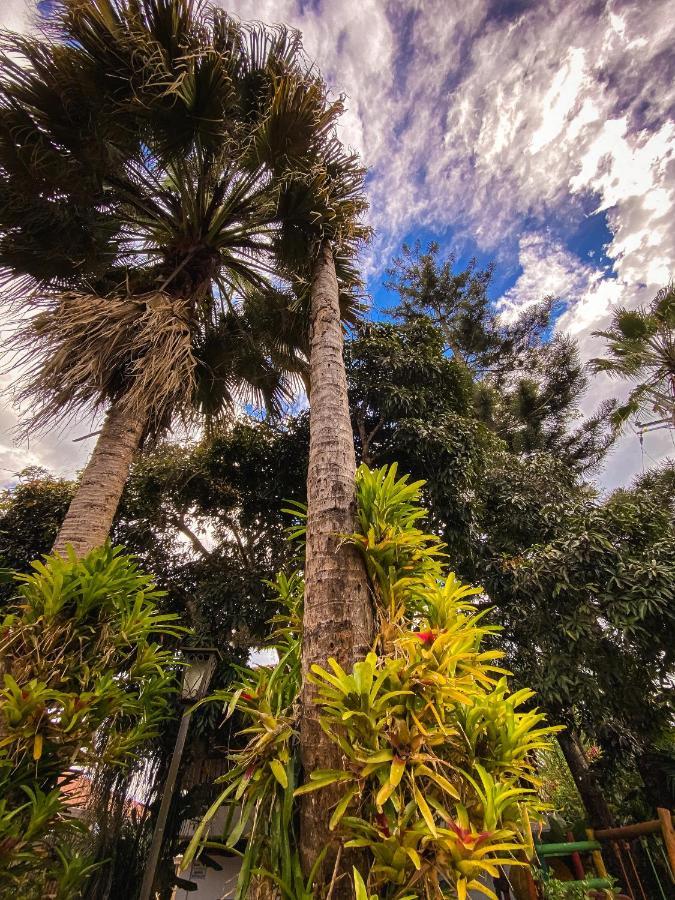 Eco Palmas Armenia (Quindio)